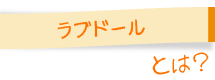 ラブドールとは？