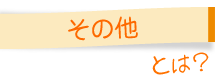 その他とは？