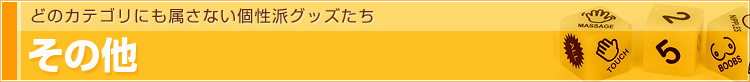 その他 | どのカテゴリにも属さない個性派グッズたち