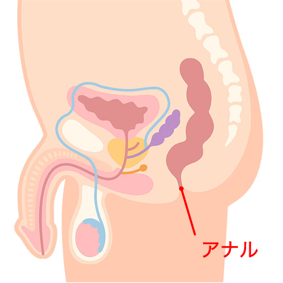解説図