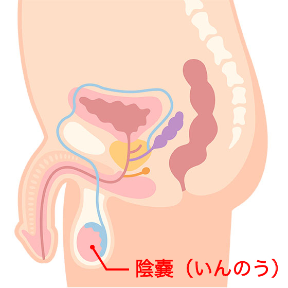 解説図