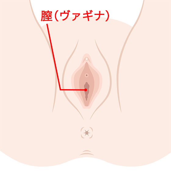 解説図