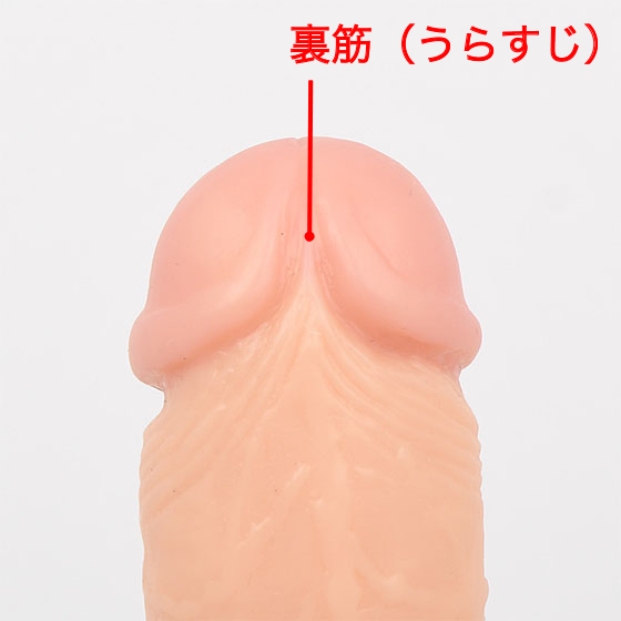 解説図