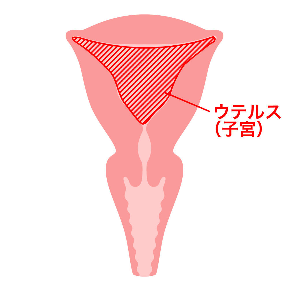 解説図