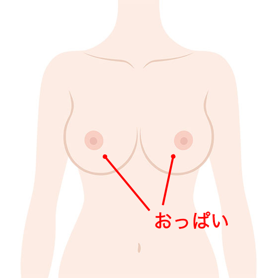 解説図