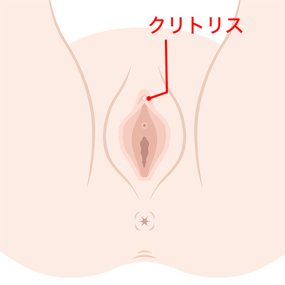 解説図