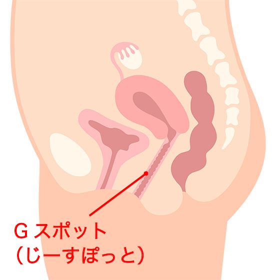 解説図