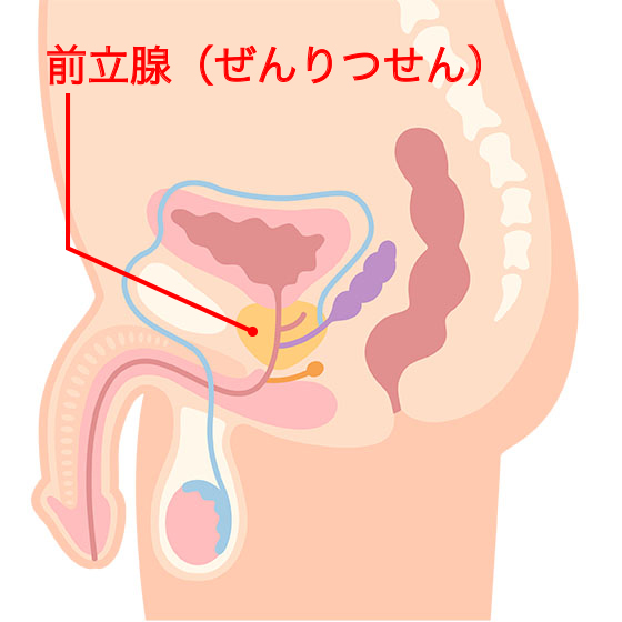 解説図