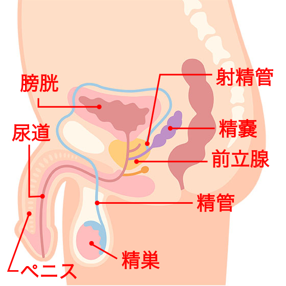 解説図