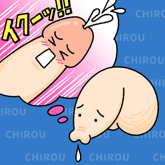 解説図