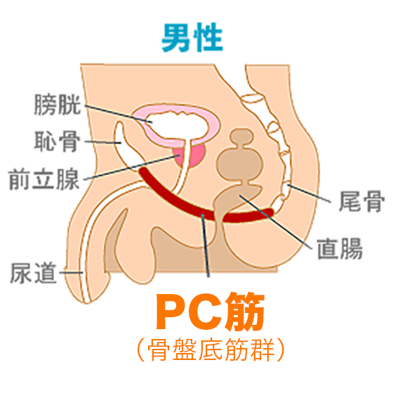 解説図
