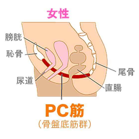 解説図