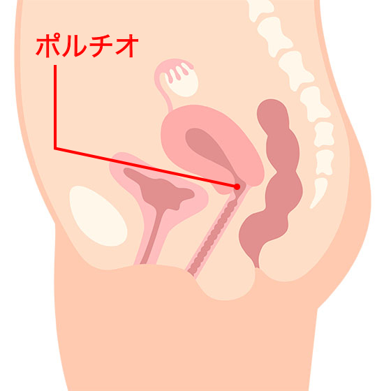 解説図