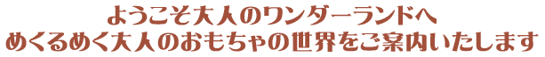 ようこそ大人のワンダーランドへめくるめく大人のおもちゃの世界をご案内いたします