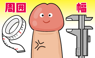 ペニスの太さを測る