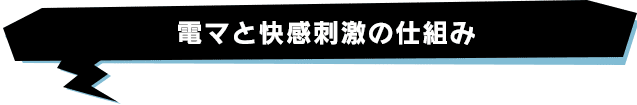 電マと快感刺激の仕組み