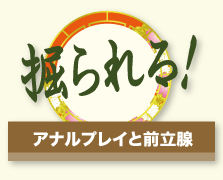 掘られる