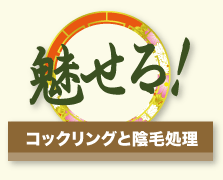 魅せる