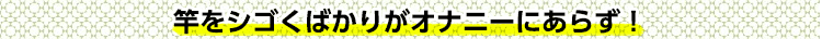 竿をシゴくばかりがオナニーにあらず!