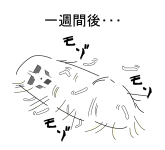 蚕オナニー
