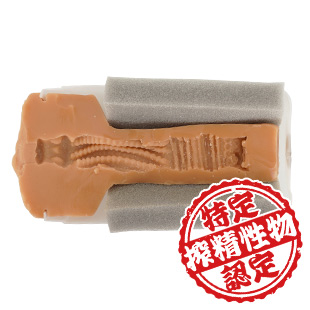 オナカップの断面　特定搾精性物認定