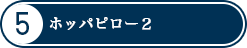 ホッパピロー２