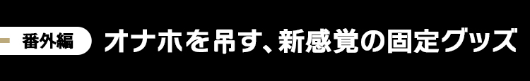 人気固定具比較レビュー