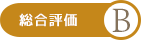 総合評価B