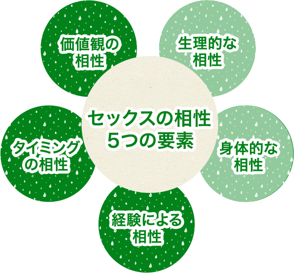 セックスの相性5要素