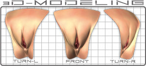 名器の証明3DCG