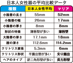 日本人女性器の平均比較データ