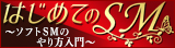 初めてのSM
