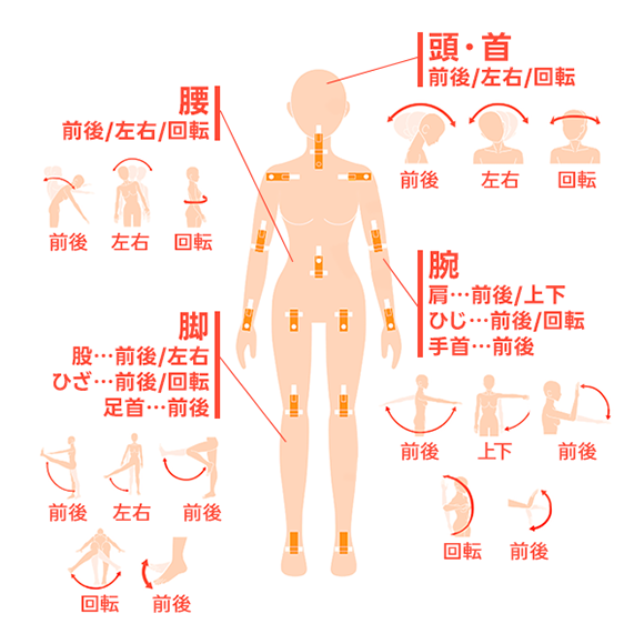 腰 前後/左右/回転、頭・首 前後/左右/回転、脚 股…前後/左右、ひざ…前後/回転、足首…前後、腕 肩…前後/上下、ひじ…前後/回転、手首…前後