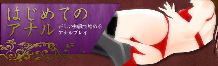 はじめてのアナル～正しい知識で始めるアナルプレイ～