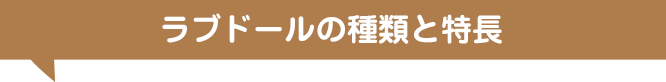 ラブドールの種類と特長