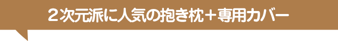 2次元派に人気の抱き枕+専用カバー