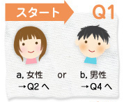 Q1 スタート a.女性→Q2へ b.男性→Q4へ