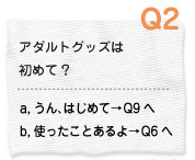 Q2 アダルトグッズは初めて? a.うん、はじめて→Q9へ b.使ったことあるよ→Q6へ