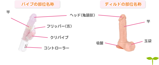 バイブの部位名称:ヘッド(亀頭部)、竿、フリッパー(舌)、クリバイブ、コントローラー ディルドの部位名称:ヘッド(亀頭部)、竿、玉袋、吸盤