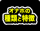オナホの種類と特徴