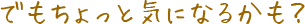 でもちょっと気になるかも?