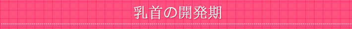 乳首の開発期