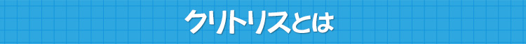 クリトリスとは