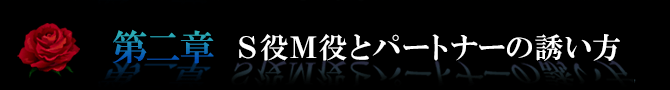 第二章S役M役とパートナーの誘い方