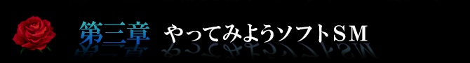 第三章やってみようソフトSM
