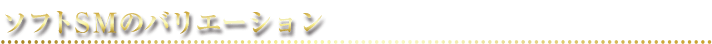 ソフトＳＭのバリエーション