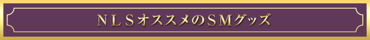 NLSオススメのSMグッズ