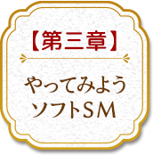第三章やってみようソフトSM