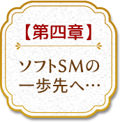 第四章ソフトSMの一歩先へ…