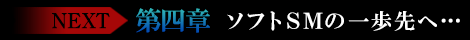 第四章ソフトＳＭの一歩先へ…